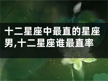 十二星座中最直的星座男,十二星座谁最直率