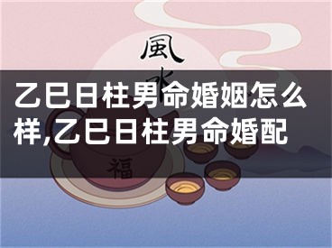 乙巳日柱男命婚姻怎么样,乙巳日柱男命婚配