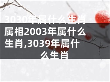 3030年属什么生肖属相2003年属什么生肖,3039年属什么生肖
