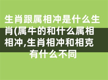 生肖跟属相冲是什么生肖(属牛的和什么属相相冲,生肖相冲和相克有什么不同