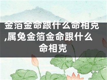 金箔金命跟什么命相克,属兔金箔金命跟什么命相克