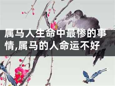 属马人生命中最惨的事情,属马的人命运不好
