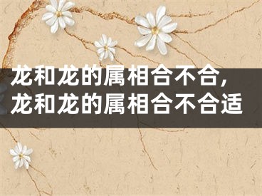 龙和龙的属相合不合,龙和龙的属相合不合适
