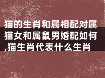 猫的生肖和属相配对属猫女和属鼠男婚配如何,猫生肖代表什么生肖