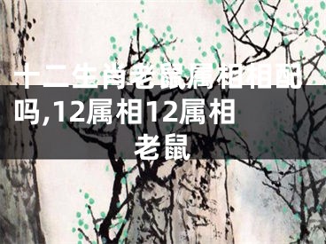 十二生肖老鼠属相相配吗,12属相12属相老鼠