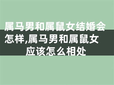 属马男和属鼠女结婚会怎样,属马男和属鼠女应该怎么相处
