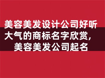 美容美发设计公司好听大气的商标名字欣赏,美容美发公司起名