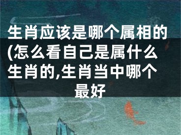 生肖应该是哪个属相的(怎么看自己是属什么生肖的,生肖当中哪个最好