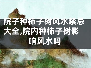 院子种柿子树风水禁忌大全,院内种柿子树影响风水吗