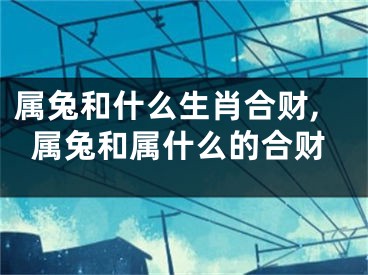 属兔和什么生肖合财,属兔和属什么的合财