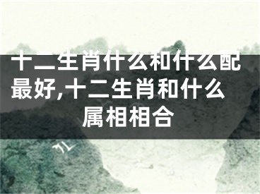 十二生肖什么和什么配最好,十二生肖和什么属相相合