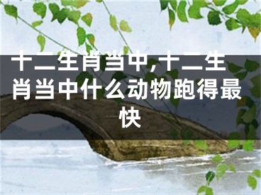 十二生肖当中,十二生肖当中什么动物跑得最快