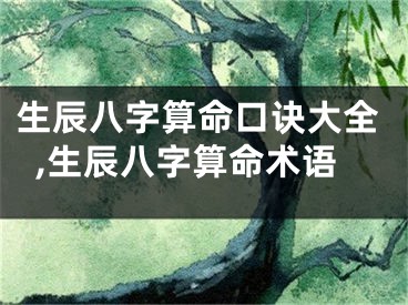 生辰八字算命口诀大全,生辰八字算命术语