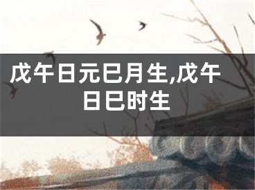戊午日元巳月生,戊午日巳时生