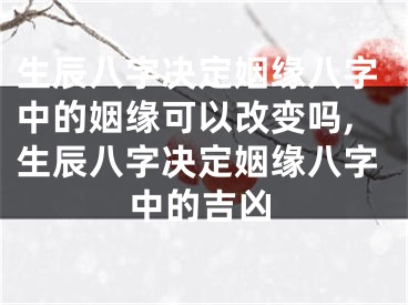 生辰八字决定姻缘八字中的姻缘可以改变吗,生辰八字决定姻缘八字中的吉凶
