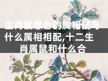 生肖鼠想合的属相鼠与什么属相相配,十二生肖属鼠和什么合