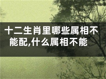 十二生肖里哪些属相不能配,什么属相不能