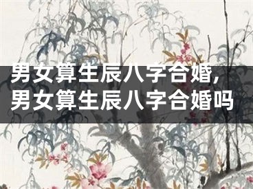 男女算生辰八字合婚,男女算生辰八字合婚吗