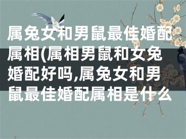 属兔女和男鼠最佳婚配属相(属相男鼠和女兔婚配好吗,属兔女和男鼠最佳婚配属相是什么