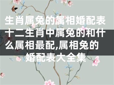 生肖属兔的属相婚配表十二生肖中属兔的和什么属相最配,属相兔的婚配表大全集