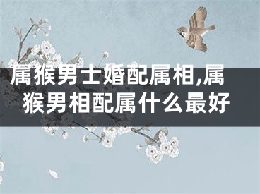 属猴男士婚配属相,属猴男相配属什么最好