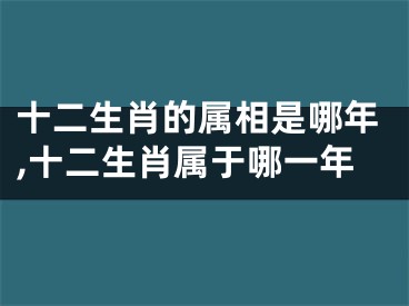 十二生肖的属相是哪年,十二生肖属于哪一年