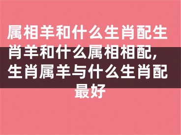 属相羊和什么生肖配生肖羊和什么属相相配,生肖属羊与什么生肖配最好