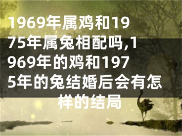1969年属鸡和1975年属兔相配吗,1969年的鸡和1975年的兔结婚后会有怎样的结局