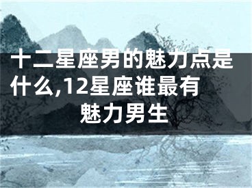 十二星座男的魅力点是什么,12星座谁最有魅力男生