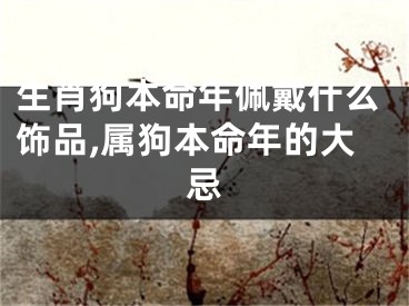 生肖狗本命年佩戴什么饰品,属狗本命年的大忌
