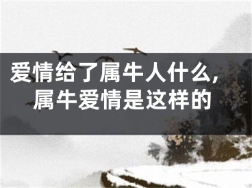 爱情给了属牛人什么,属牛爱情是这样的