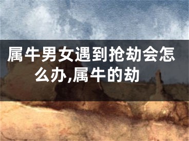 属牛男女遇到抢劫会怎么办,属牛的劫