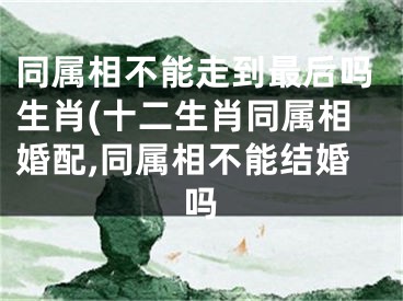 同属相不能走到最后吗生肖(十二生肖同属相婚配,同属相不能结婚吗