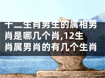 十二生肖男生的属相男肖是哪几个肖,12生肖属男肖的有几个生肖