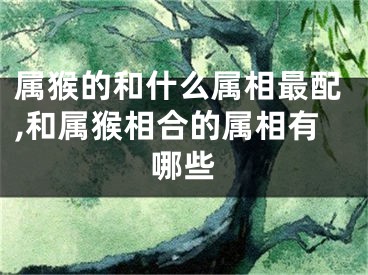 属猴的和什么属相最配,和属猴相合的属相有哪些