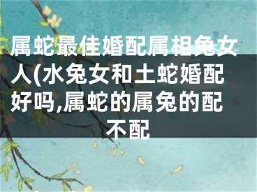 属蛇最佳婚配属相兔女人(水兔女和土蛇婚配好吗,属蛇的属兔的配不配
