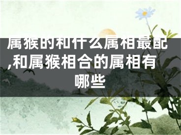 属猴的和什么属相最配,和属猴相合的属相有哪些