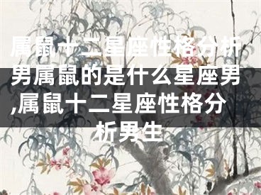 属鼠十二星座性格分析男属鼠的是什么星座男,属鼠十二星座性格分析男生
