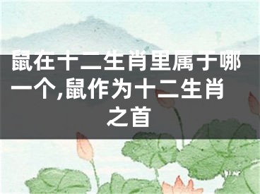 鼠在十二生肖里属于哪一个,鼠作为十二生肖之首