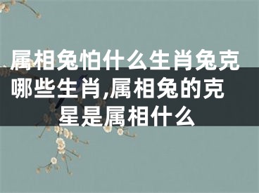 属相兔怕什么生肖兔克哪些生肖,属相兔的克星是属相什么