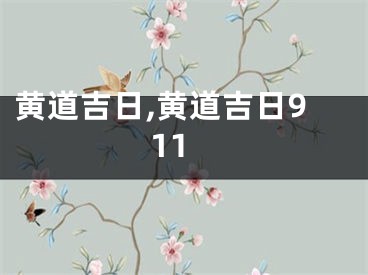 黄道吉日,黄道吉日911