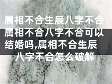 属相不合生辰八字不合属相不合八字不合可以结婚吗,属相不合生辰八字不合怎么破解