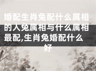 婚配生肖兔配什么属相的人兔属相与什么属相最配,生肖兔婚配什么好