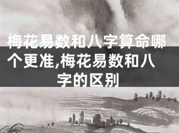 梅花易数和八字算命哪个更准,梅花易数和八字的区别