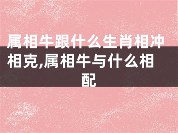 属相牛跟什么生肖相冲相克,属相牛与什么相配