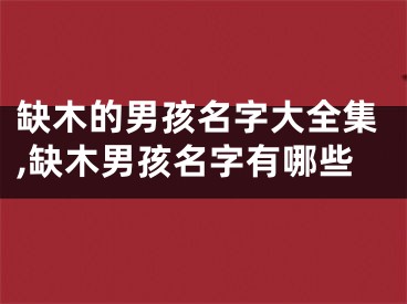 缺木的男孩名字大全集,缺木男孩名字有哪些