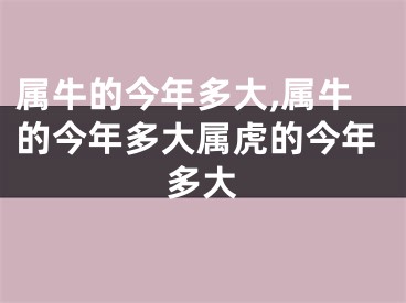属牛的今年多大,属牛的今年多大属虎的今年多大