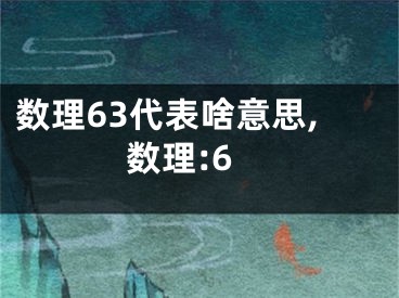 数理63代表啥意思,数理:6