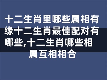 十二生肖里哪些属相有缘十二生肖最佳配对有哪些,十二生肖哪些相属互相相合