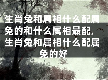 生肖兔和属相什么配属兔的和什么属相最配,生肖兔和属相什么配属兔的好